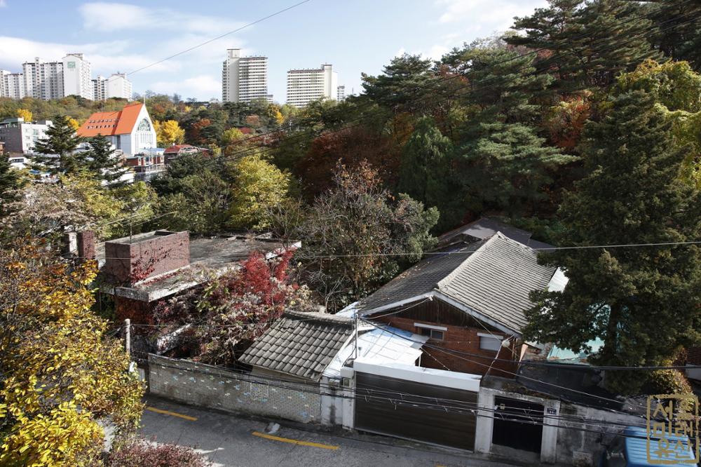 환상의 그 새는 올해도 날아올는지…