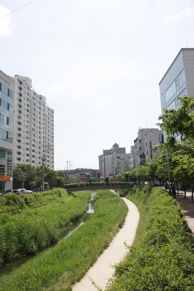 성북천(삼선동 부근)(2)