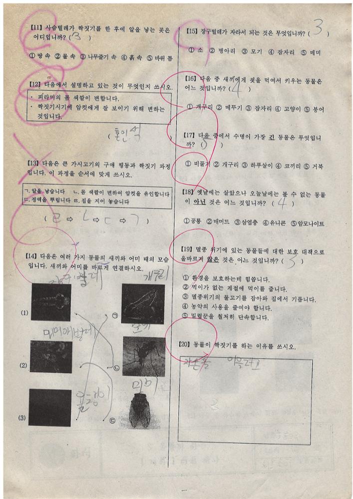 제3회 성북구 민간기록물 수집 공모전_2009년 돈암초 4학년 시험지(17)