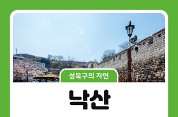 [성북구의 자연] 낙산, 낙타를 닮은 산