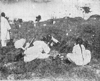 [금도끼 #159] 죽은 자와 산 자의 공간의 교차, 미아리 공동묘지