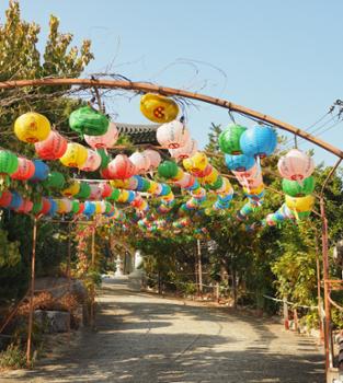 [금도끼#255] 시대 속 개운사, 공간의 변화를 따라